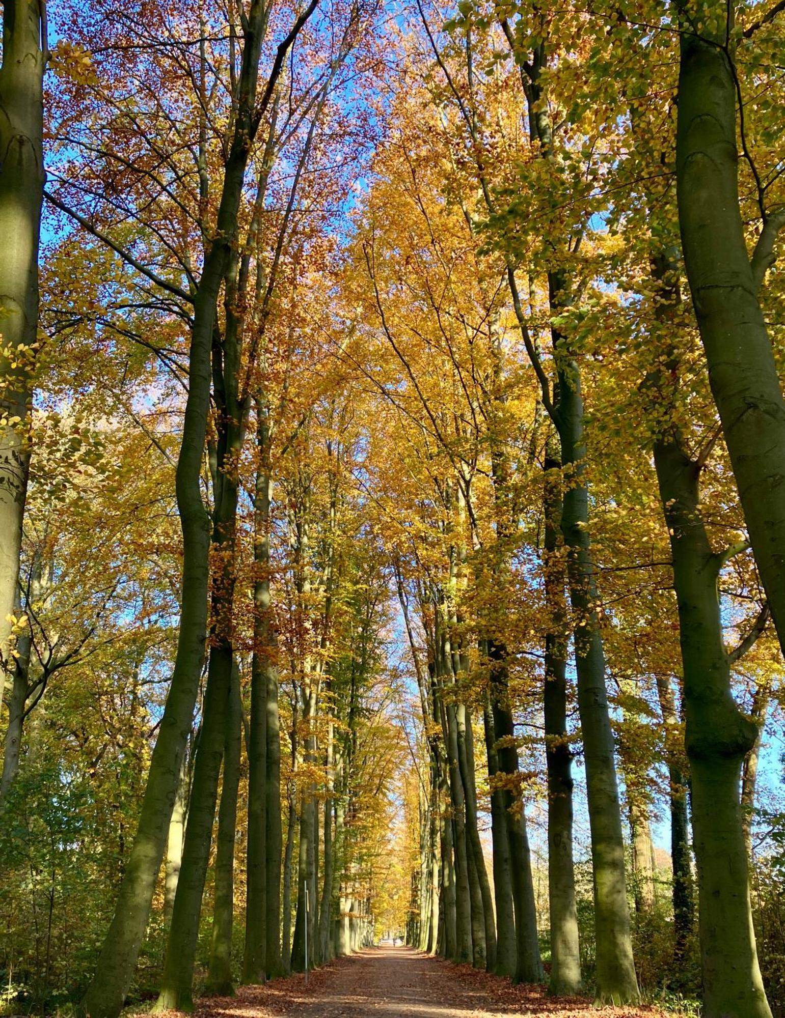 Waerdenhoeve Waardenburg Exteriér fotografie